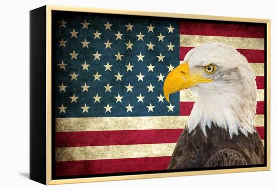 American Eagle 2-Kimberly Allen-Framed Stretched Canvas