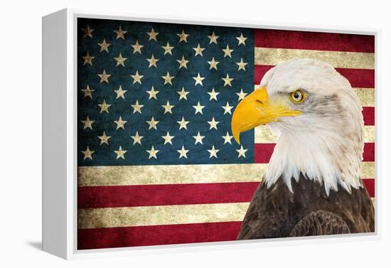 American Eagle 2-Kimberly Allen-Framed Stretched Canvas