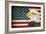 American Eagle 2-Kimberly Allen-Framed Art Print