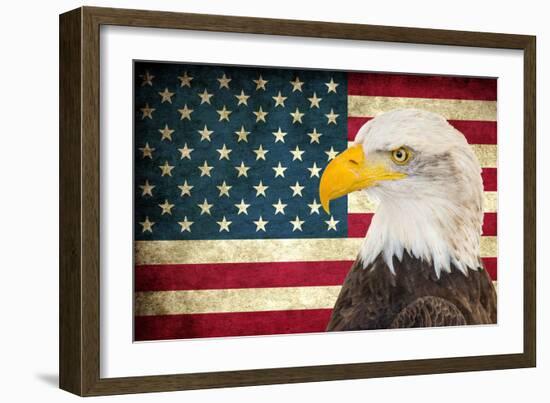 American Eagle 2-Kimberly Allen-Framed Art Print