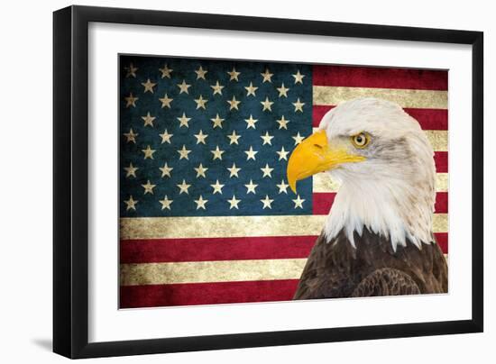 American Eagle 2-Kimberly Allen-Framed Art Print