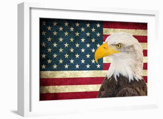 American Eagle 2-Kimberly Allen-Framed Art Print