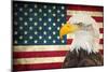 American Eagle 2-Kimberly Allen-Mounted Art Print