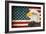 American Eagle 2-Kimberly Allen-Framed Art Print