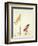 American Eagle Acquires Us Flag Colouration, 1985-George Adamson-Framed Giclee Print