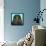 American Eagle Blue-Sharon Turner-Framed Stretched Canvas displayed on a wall