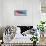 American Eagle Flag-Spencer Williams-Framed Giclee Print displayed on a wall