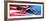 American Eagle Flag-Spencer Williams-Framed Giclee Print