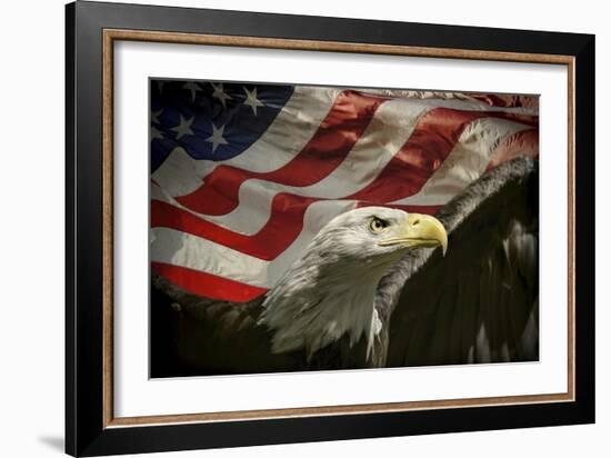 American Eagle-Jai Johnson-Framed Giclee Print