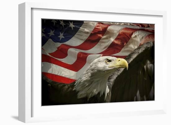 American Eagle-Jai Johnson-Framed Giclee Print