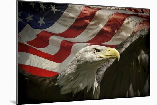 American Eagle-Jai Johnson-Mounted Giclee Print