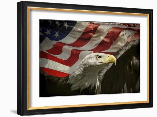 American Eagle-Jai Johnson-Framed Giclee Print