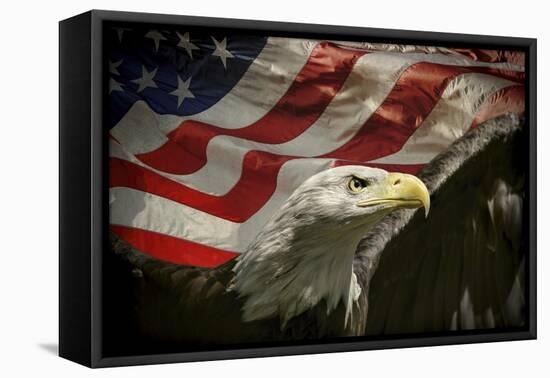 American Eagle-Jai Johnson-Framed Premier Image Canvas