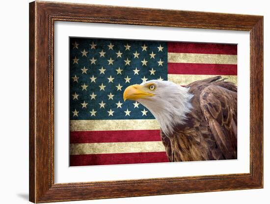 American Eagle-Kimberly Allen-Framed Art Print