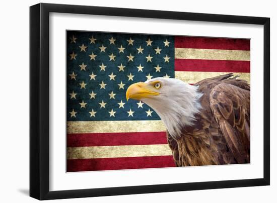 American Eagle-Kimberly Allen-Framed Art Print