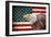 American Eagle-Kimberly Allen-Framed Art Print