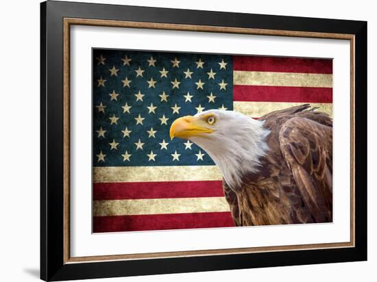 American Eagle-Kimberly Allen-Framed Art Print