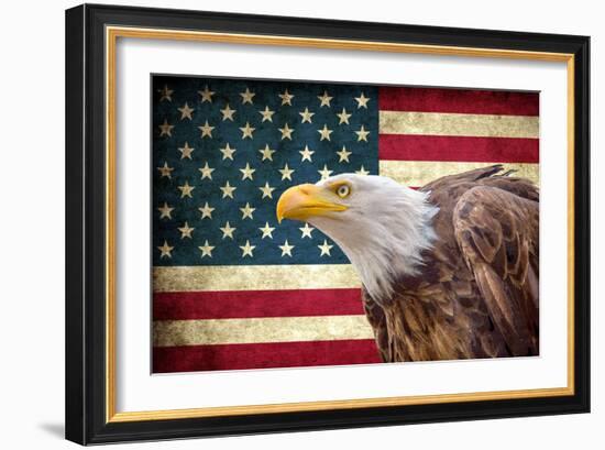 American Eagle-Kimberly Allen-Framed Art Print