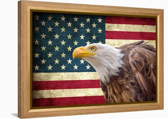 American Eagle-Kimberly Allen-Framed Stretched Canvas