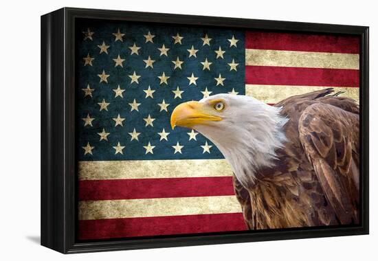 American Eagle-Kimberly Allen-Framed Stretched Canvas