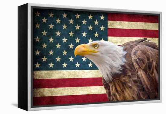 American Eagle-Kimberly Allen-Framed Stretched Canvas