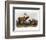 American Elk, 1846-John James Audubon-Framed Premium Giclee Print
