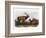 American Elk, 1846-John James Audubon-Framed Giclee Print