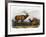 American Elk, 1846-John James Audubon-Framed Giclee Print