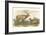 American Elk and Deer-John James Audubon-Framed Art Print