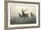 American Elk-R. Hinshelwood-Framed Art Print