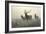 American Elk-R. Hinshelwood-Framed Art Print