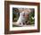 American Eskimo Dog on Garden Path with Flowers-Zandria Muench Beraldo-Framed Photographic Print