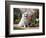 American Eskimo Dog on Garden Path with Flowers-Zandria Muench Beraldo-Framed Photographic Print