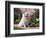 American Eskimo Dog on Garden Path with Flowers-Zandria Muench Beraldo-Framed Photographic Print