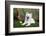 American Eskimo, Los Angeles, California, Mr and Pr-Zandria Muench Beraldo-Framed Photographic Print