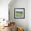 American Fields-Hazel Barker-Framed Giclee Print displayed on a wall