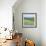 American Fields-Hazel Barker-Framed Giclee Print displayed on a wall