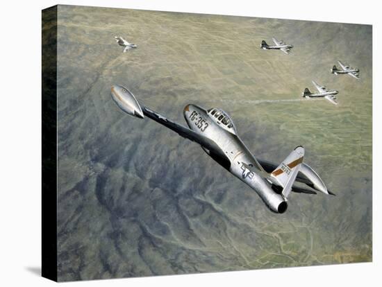 Stretched Canvas Print, , large