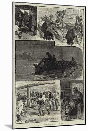 American Fisheries, Shad-Fishing on the Delaware-null-Mounted Giclee Print