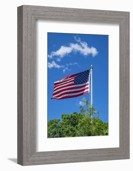 American flag blowing in the wind, USA-Lisa Engelbrecht-Framed Photographic Print