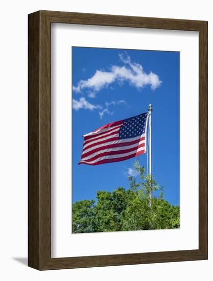 American flag blowing in the wind, USA-Lisa Engelbrecht-Framed Photographic Print