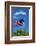 American flag blowing in the wind, USA-Lisa Engelbrecht-Framed Photographic Print