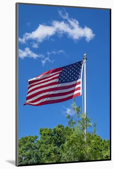 American flag blowing in the wind, USA-Lisa Engelbrecht-Mounted Photographic Print