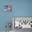 American Flag Graffiti-Sabine Jacobs-Mounted Photographic Print displayed on a wall