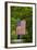 American Flag Hanging Above Gravel Road-Paul Souders-Framed Photographic Print