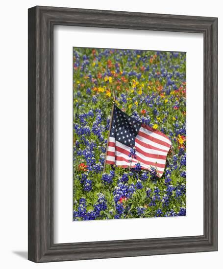 American Flag in Field of Blue Bonnets, Paintbrush, Texas Hill Country, USA-Darrell Gulin-Framed Photographic Print