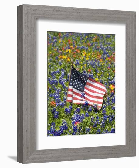 American Flag in Field of Blue Bonnets, Paintbrush, Texas Hill Country, USA-Darrell Gulin-Framed Photographic Print