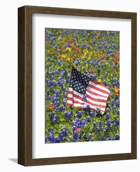 American Flag in Field of Blue Bonnets, Paintbrush, Texas Hill Country, USA-Darrell Gulin-Framed Photographic Print