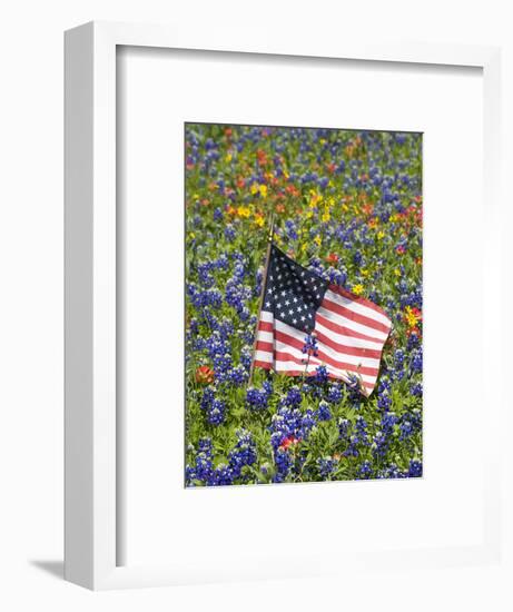 American Flag in Field of Blue Bonnets, Paintbrush, Texas Hill Country, USA-Darrell Gulin-Framed Photographic Print