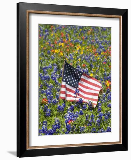 American Flag in Field of Blue Bonnets, Paintbrush, Texas Hill Country, USA-Darrell Gulin-Framed Photographic Print